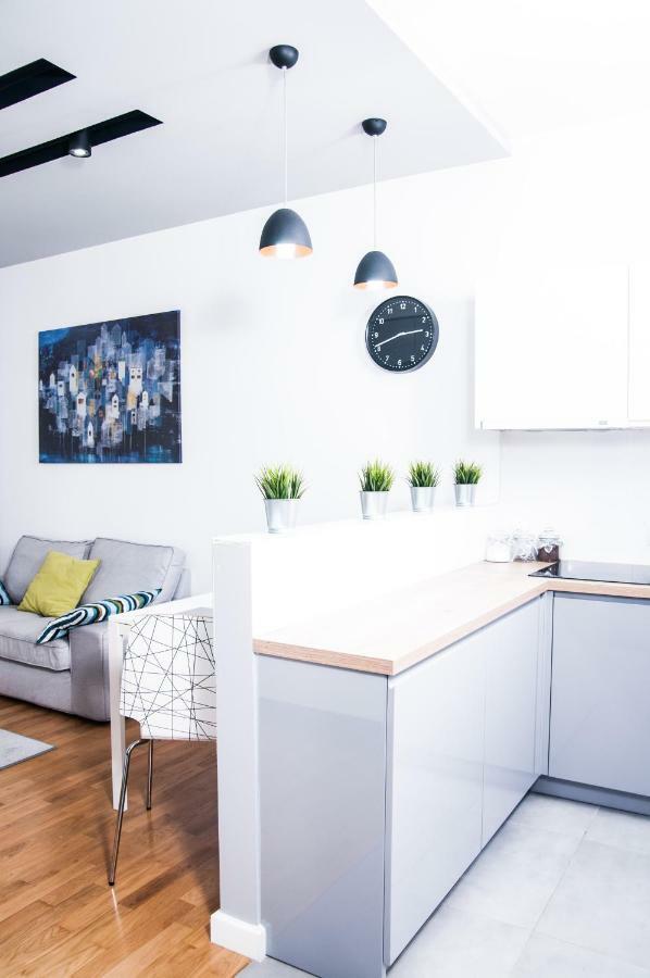 Center Ilumino Apartment Lodz (Lodz)